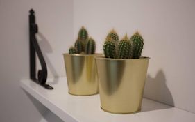 Bonito Apartamento, Nuevo Y En El Casco Viejo!!!